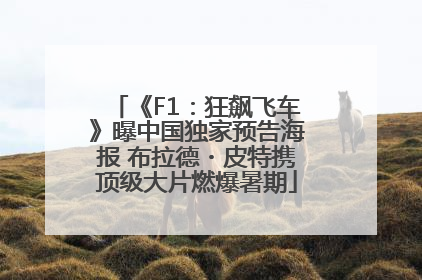 《F1：狂飙飞车》曝中国独家预告海报 布拉德・皮特携顶级大片燃爆暑期