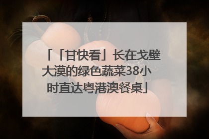 「甘快看」长在戈壁大漠的绿色蔬菜38小时直达粤港澳餐桌