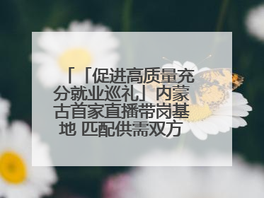 「促进高质量充分就业巡礼」内蒙古首家直播带岗基地 匹配供需双方 促进上岗就业