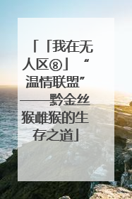 「我在无人区⑧」“温情联盟”——黔金丝猴雌猴的生存之道