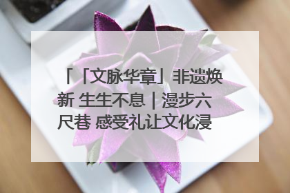 「文脉华章」非遗焕新 生生不息｜漫步六尺巷 感受礼让文化浸润的“巷”往生活