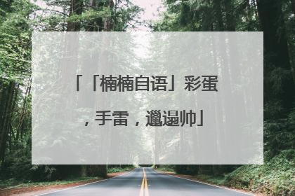 「楠楠自语」彩蛋，手雷，邋遢帅