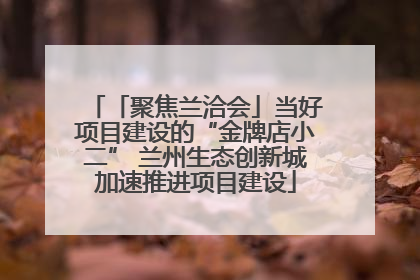 「聚焦兰洽会」当好项目建设的“金牌店小二” 兰州生态创新城加速推进项目建设
