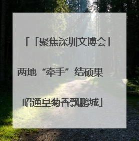 「聚焦深圳文博会」两地“牵手”结硕果 昭通皇菊香飘鹏城