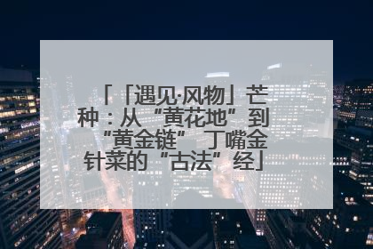 「遇见·风物」芒种：从“黄花地”到“黄金链” 丁嘴金针菜的“古法”经