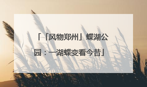 「风物郑州」蝶湖公园：一湖蝶变看今昔