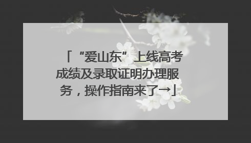 “爱山东”上线高考成绩及录取证明办理服务，操作指南来了→