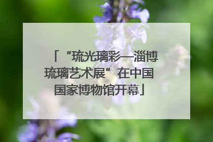 “琉光璃彩—淄博琉璃艺术展”在中国国家博物馆开幕