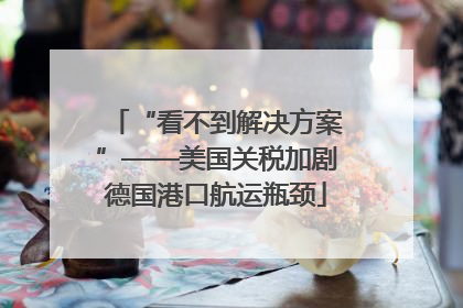 “看不到解决方案”——美国关税加剧德国港口航运瓶颈