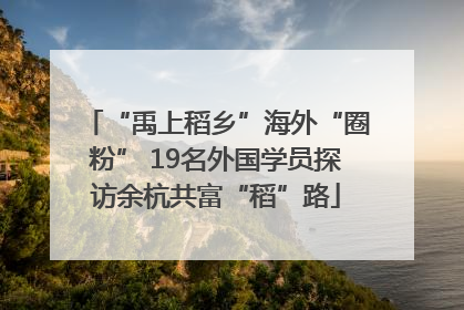 “禹上稻乡”海外“圈粉” 19名外国学员探访余杭共富“稻”路