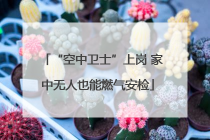 “空中卫士”上岗 家中无人也能燃气安检