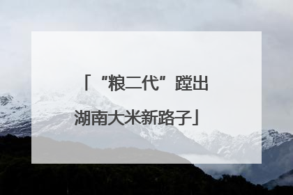 “粮二代”蹚出湖南大米新路子