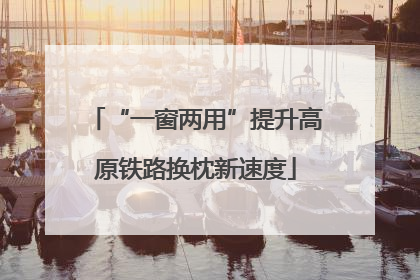 “一窗两用”提升高原铁路换枕新速度