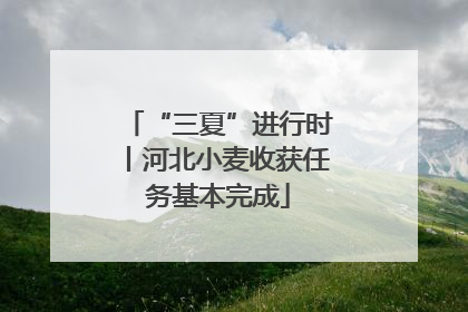 “三夏”进行时丨河北小麦收获任务基本完成