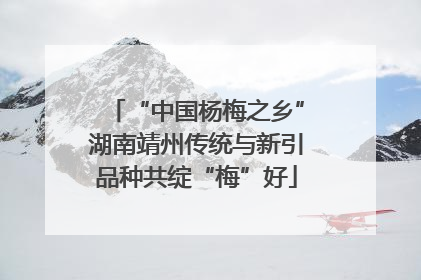 “中国杨梅之乡”湖南靖州传统与新引品种共绽“梅”好