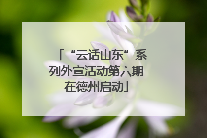 “云话山东”系列外宣活动第六期在德州启动