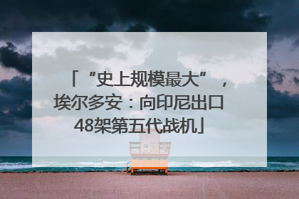“史上规模最大”，埃尔多安：向印尼出口48架第五代战机