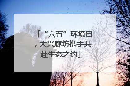 “六五”环境日，大兴廊坊携手共赴生态之约