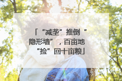 “减垄”推倒“隐形墙”，百亩地“捡”回十亩粮