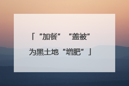 “加餐”“盖被” 为黑土地“增肥”