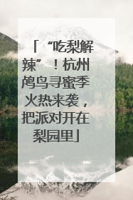 “吃梨解辣”！杭州鸬鸟寻蜜季火热来袭，把派对开在梨园里