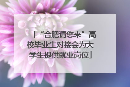 “合肥请您来”高校毕业生对接会为大学生提供就业岗位