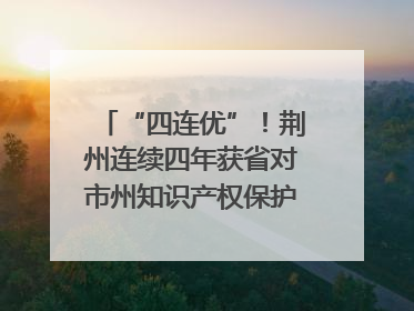 “四连优”！荆州连续四年获省对市州知识产权保护考核优秀等次