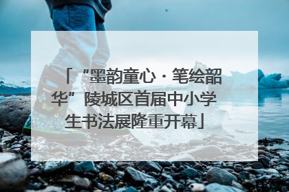 “墨韵童心・笔绘韶华”陵城区首届中小学生书法展隆重开幕