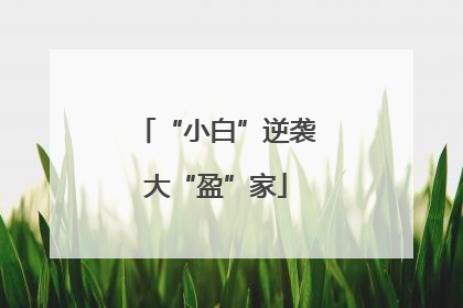 “小白”逆袭大“盈”家