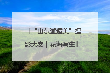“山东邂逅美”摄影大赛｜花海写生