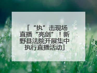 “执”击现场 直播“亮剑”！新野县法院开展集中执行直播活动