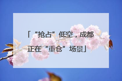 “抢占”低空，成都正在“重仓”场景