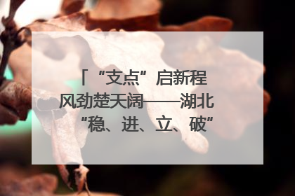 “支点”启新程 风劲楚天阔——湖北“稳、进、立、破”谱写“荆”彩篇章