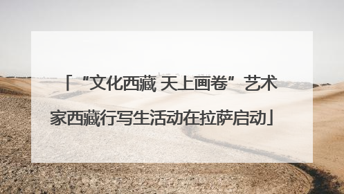 “文化西藏 天上画卷”艺术家西藏行写生活动在拉萨启动