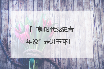 “新时代党史青年说”走进玉环
