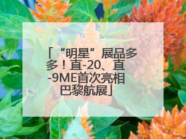 “明星”展品多多！直-20、直-9ME首次亮相巴黎航展