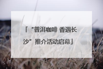 “普洱咖啡 香遇长沙”推介活动启幕