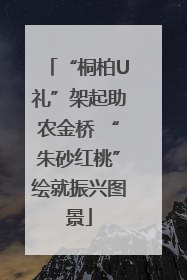 “桐柏U礼”架起助农金桥 “朱砂红桃”绘就振兴图景