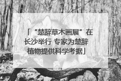 “楚辞草木画展”在长沙举行 专家为楚辞植物提供科学考据