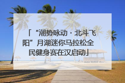 “潮势咏动・北斗飞阳”月湖迷你马拉松全民健身赛在汉启动