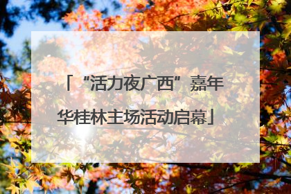 “活力夜广西”嘉年华桂林主场活动启幕