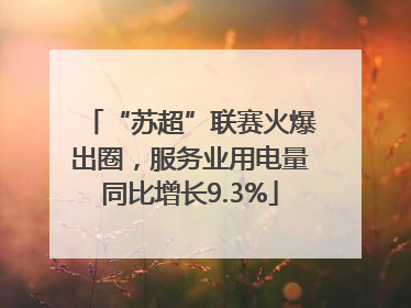 “苏超”联赛火爆出圈，服务业用电量同比增长9.3%