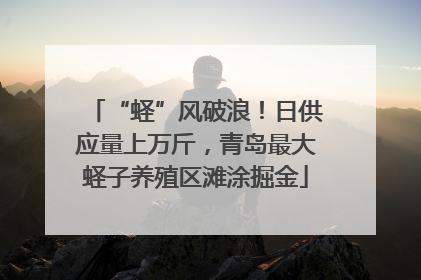 “蛏”风破浪！日供应量上万斤，青岛最大蛏子养殖区滩涂掘金