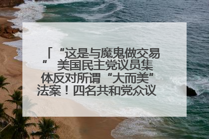 “这是与魔鬼做交易” 美国民主党议员集体反对所谓“大而美”法案！四名共和党众议员投反对票