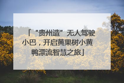 “贵州造”无人驾驶小巴，开启黄果树小黄鸭漂流智慧之旅