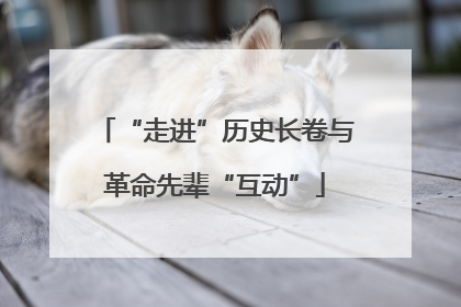 “走进”历史长卷与革命先辈“互动”