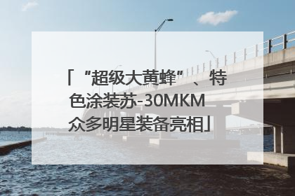 “超级大黄蜂”、特色涂装苏-30MKM 众多明星装备亮相