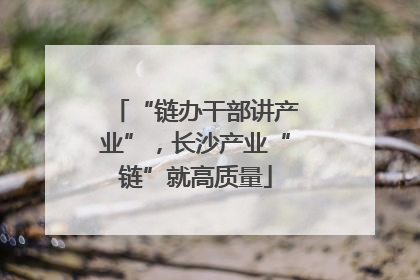 “链办干部讲产业”，长沙产业“链”就高质量