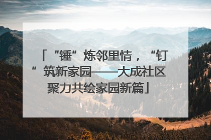 “锤”炼邻里情，“钉”筑新家园——大成社区聚力共绘家园新篇