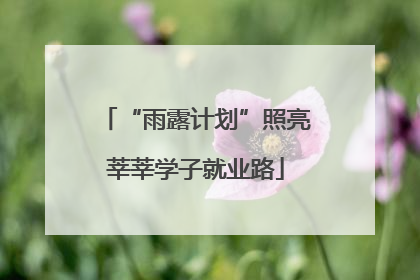 “雨露计划”照亮莘莘学子就业路